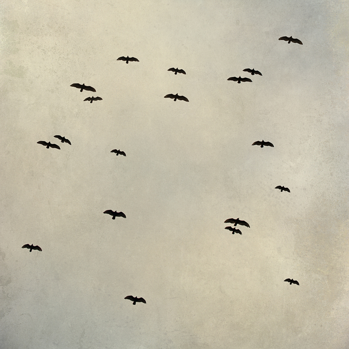 Soaring